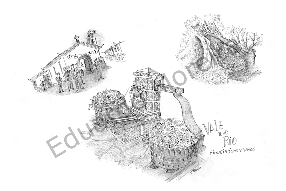 [0197] Vale do Rio – Figueiró dos Vinhos